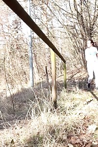 Black-haired Vinna Reed Pisses In The Suburb