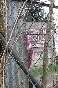 Brunette Lady Pisses On A Public Path