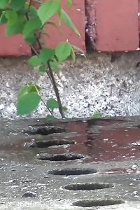 Innocent Miss Pissing Outside On Concrete Steps